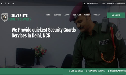 Silver Eye Security